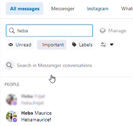 Meta business suite search