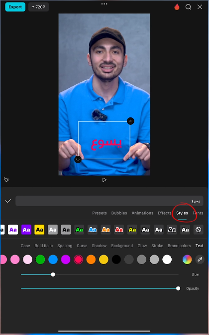 CapCut - Text Style